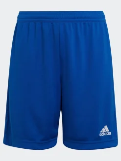 adidas Blue Entrada 22 Shorts