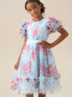 Angel & Rocket Blue Florence Blush Ruffle Sleeve Mesh Dress