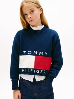 Tommy Hilfiger Blue Logo Embroidery Relaxed Crew Neck Jumper