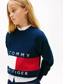 Tommy Hilfiger Blue Logo Embroidery Relaxed Crew Neck Jumper