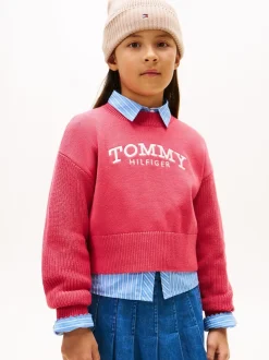 Tommy Hilfiger Red Logo Embroidery Relaxed Crew Neck Jumper